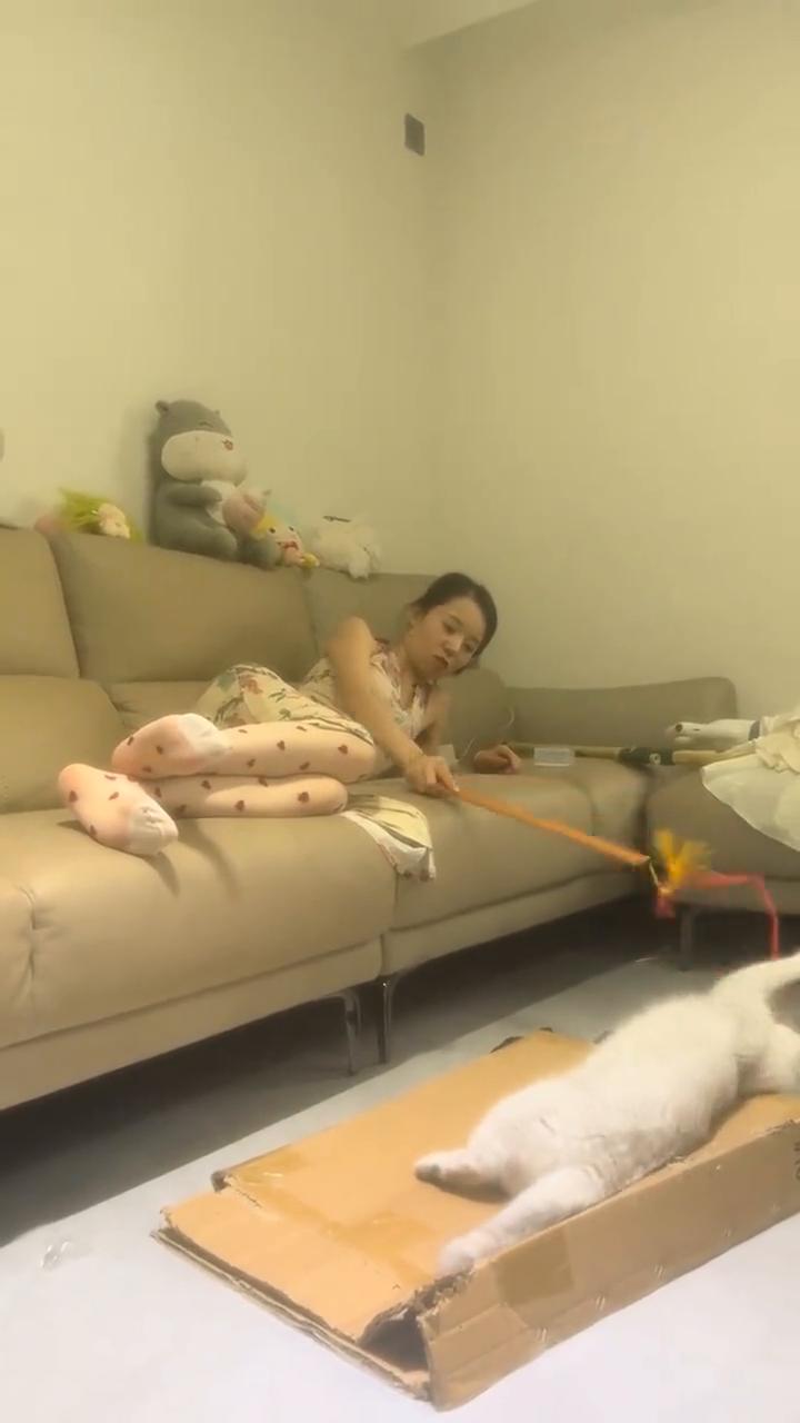 慧慧，你看那个。