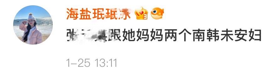 柳智敏 粉丝怎么这样！！  张元英  wwzz 