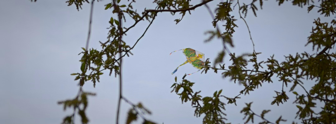 5月放假12天 果然大家都一样，刚放完假回来，已经开始琢磨5月份的假期了！ 在下