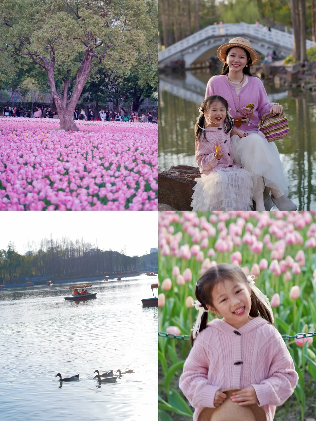 魔都遛娃～大宁公园郁金香🌷