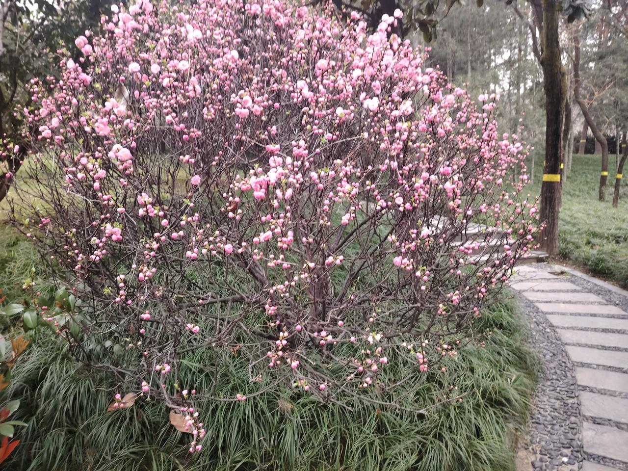 校长和教师争高级职称
校长高级已领钱，
感谢上司把酒干。
上司酒后吐真言，
委屈