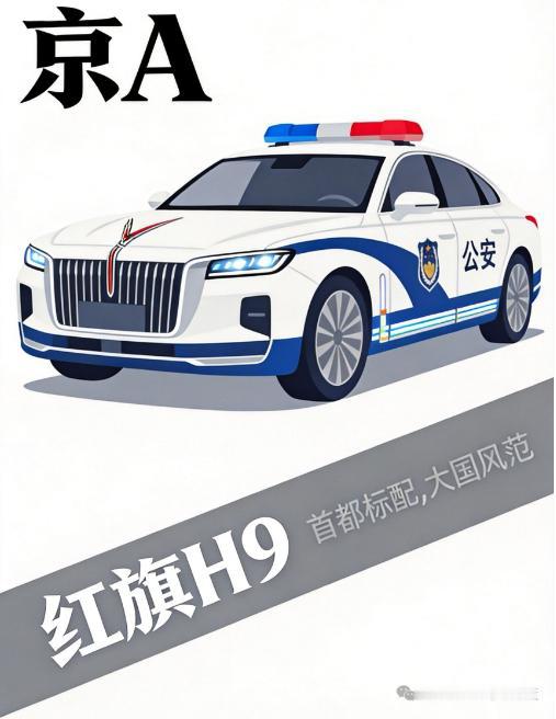 警车一般都是当地实际警务需求进行招标和采购的，各个地区有较大的自主权。所以各地使