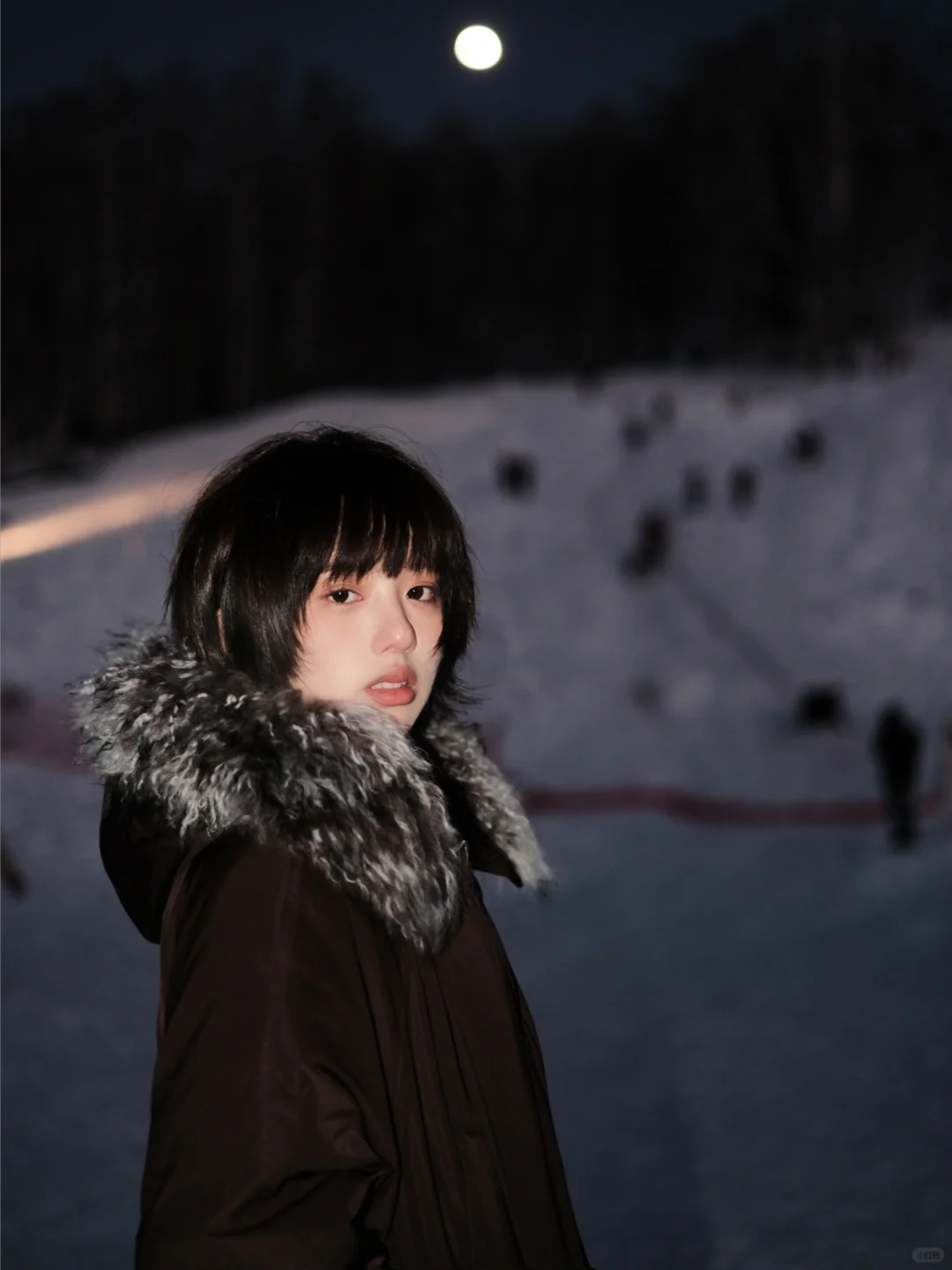 月色与雪色之间