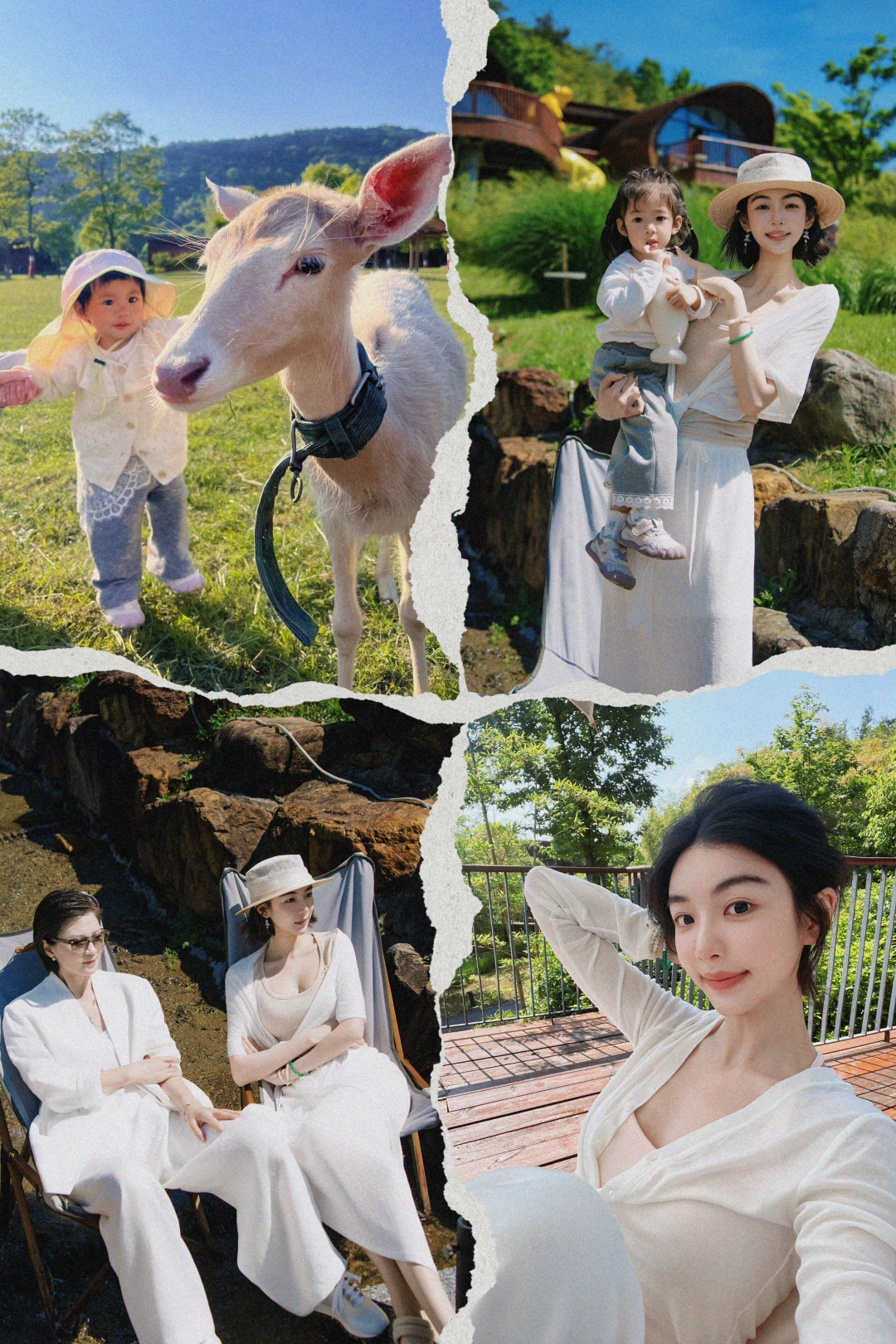 江浙沪遛娃天花板？🍀🐮