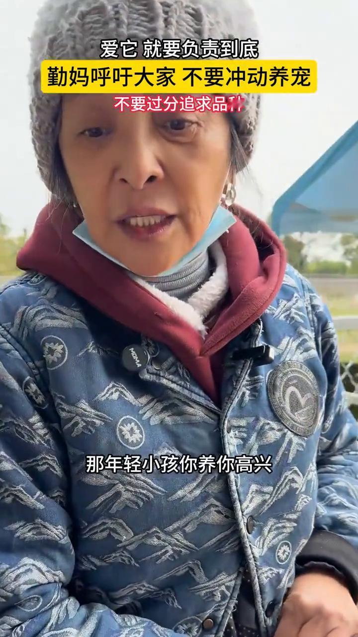 爱它就要负责到底，秦妈呼吁大家不要冲动养宠。
不要过分追求品种，看看秦妈收留的各