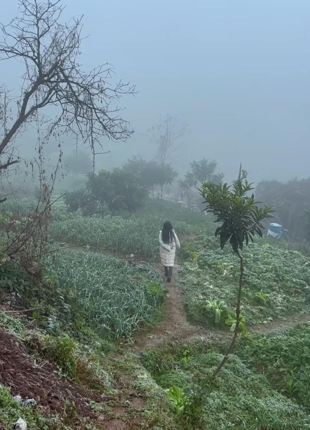 一个人走在雾蒙蒙的小路上。看到这样的场景真的很亲切，好像回到了小时候。山东，河南
