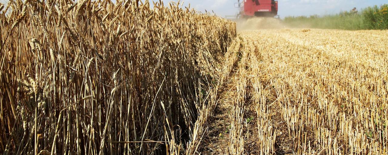 2025年12月2日，俄罗斯副总理德米特里·帕特鲁舍夫在一场全国农田作业总结会上