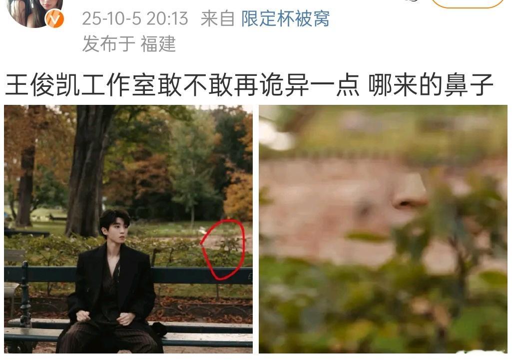 王俊凯工作室的出图里面 ，树上居然长出了鼻子 ​​​