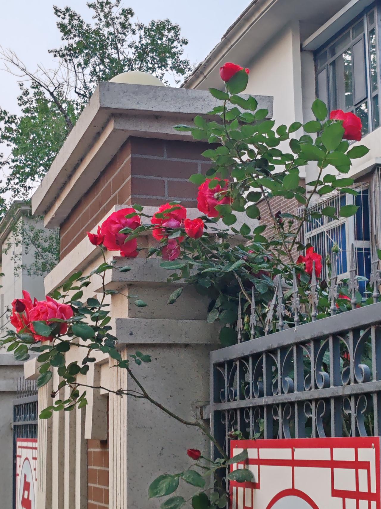 我想提几个问题，有谁能讲出国企该怎么管理？不能只抛出问题却不解决问题。要是让你来