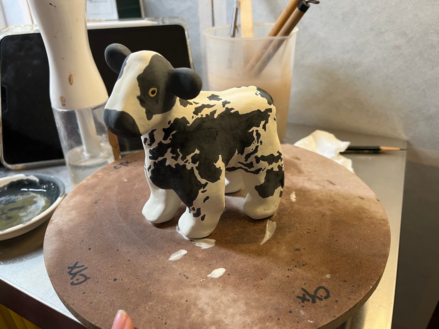 世界在奶牛的背上！🐄 ​​​
