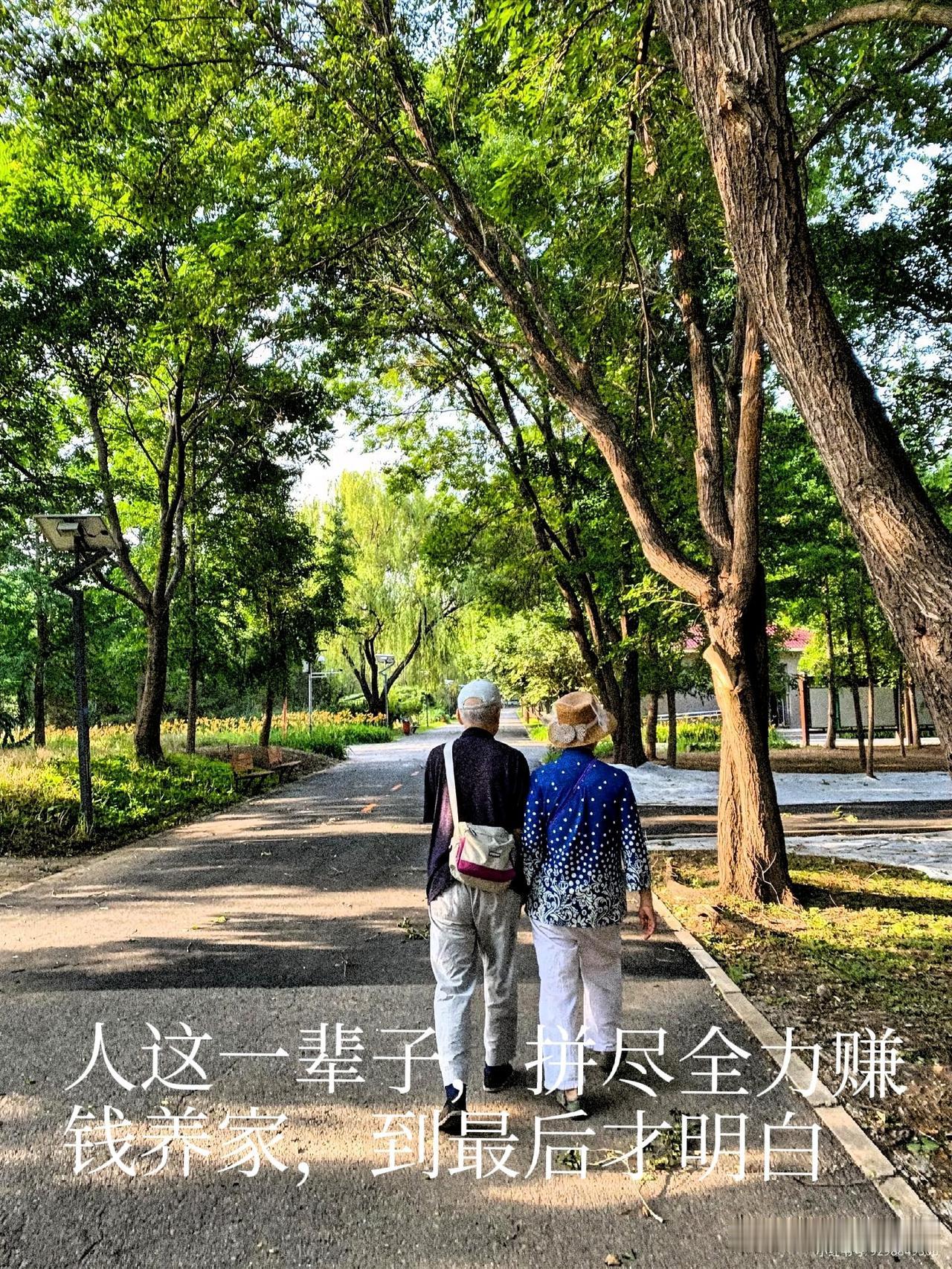 人到老了才彻底醒悟！

退休金再多，也替代不了身边的老伴
 
听过很多中老年朋友