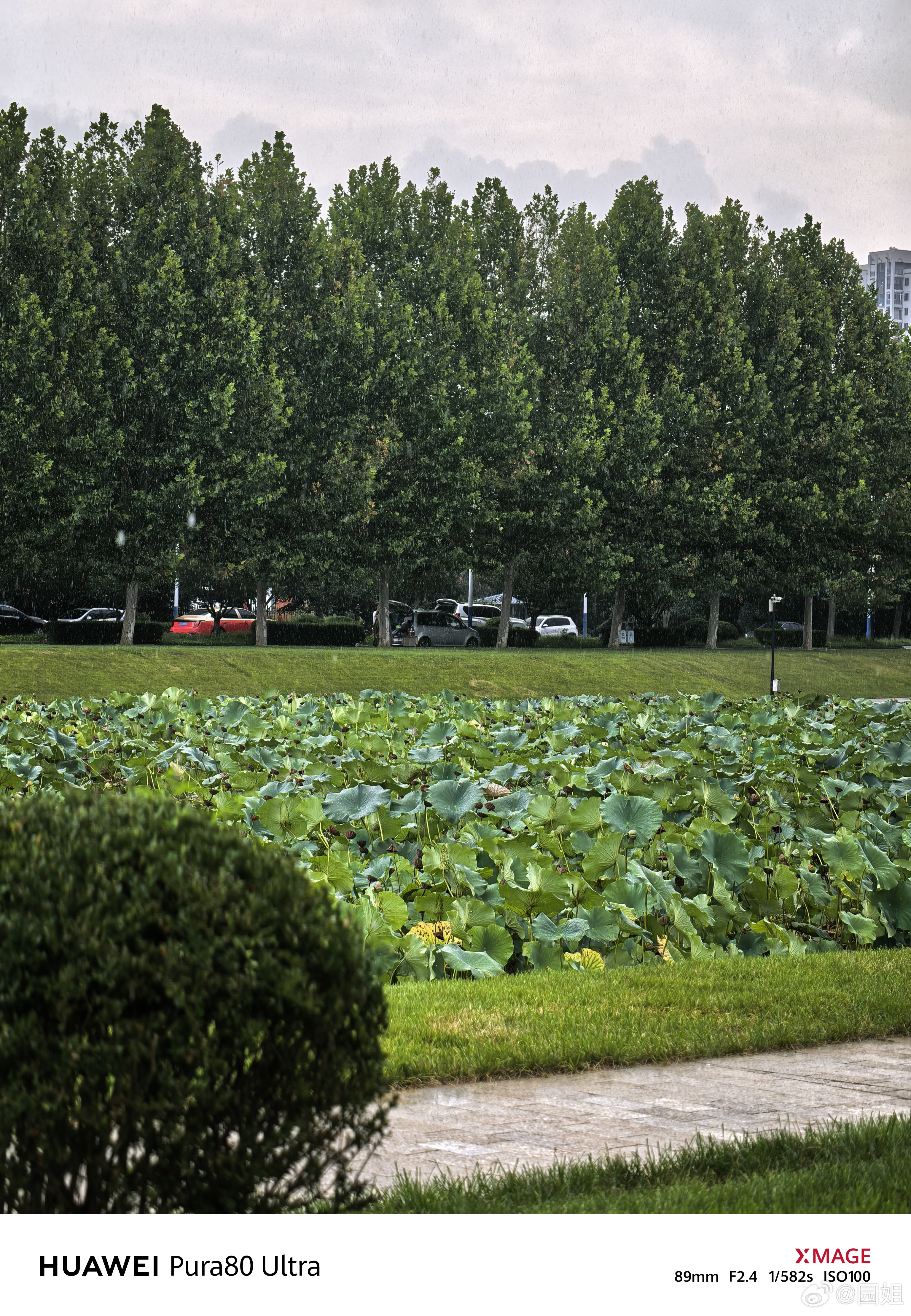 好不容易带孩子出来野餐，结果刚布置好下雨了[泪] ​​​