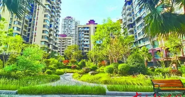 阔绰格局 解锁舒适理想生活