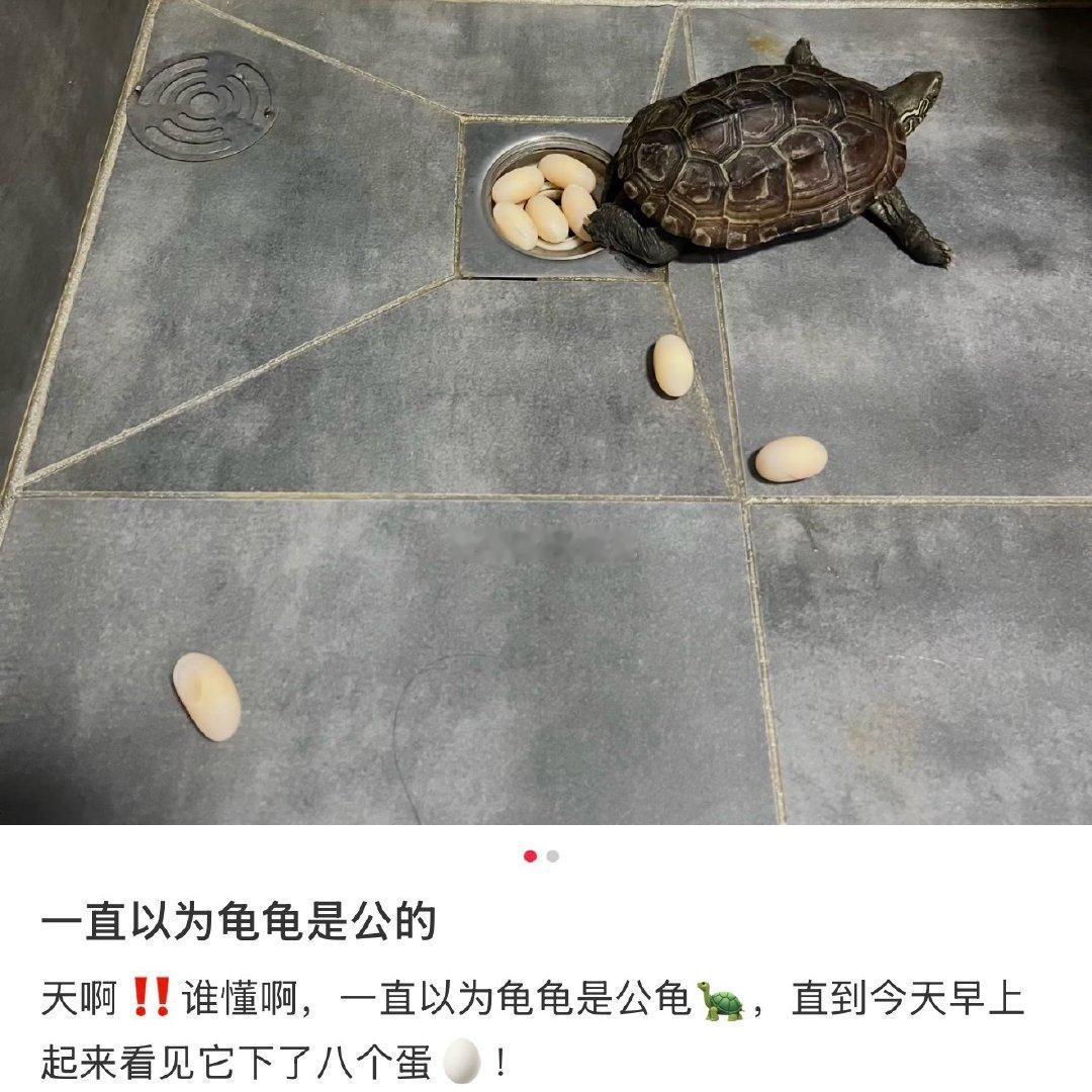 我刚认识崔杋圭时： 