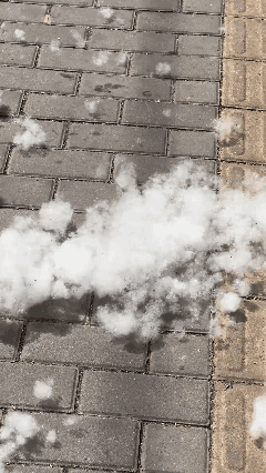 纯天然棉花糖，管够[偷笑]