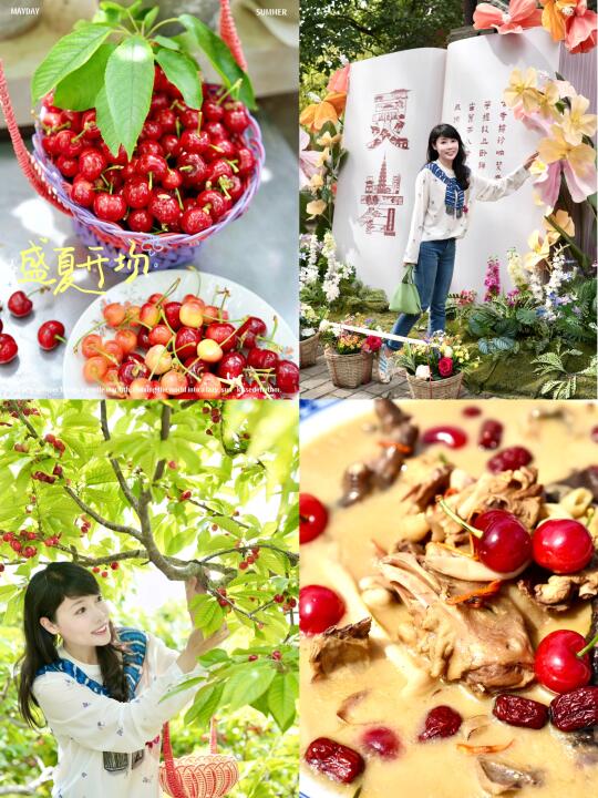 济南周边游｜长清五峰山的樱桃熟啦！