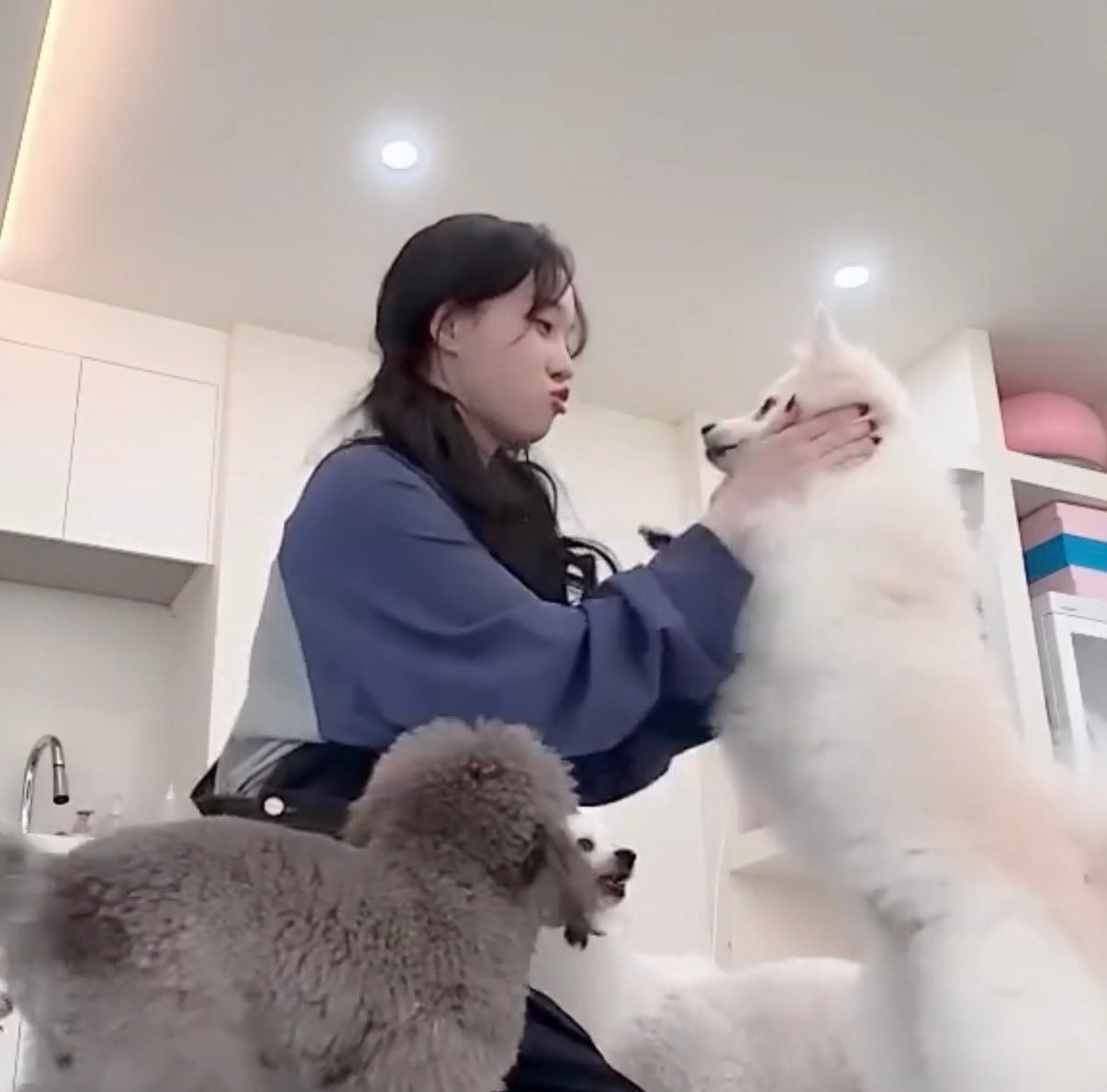 还有两个YouTube什么时候来呀 
