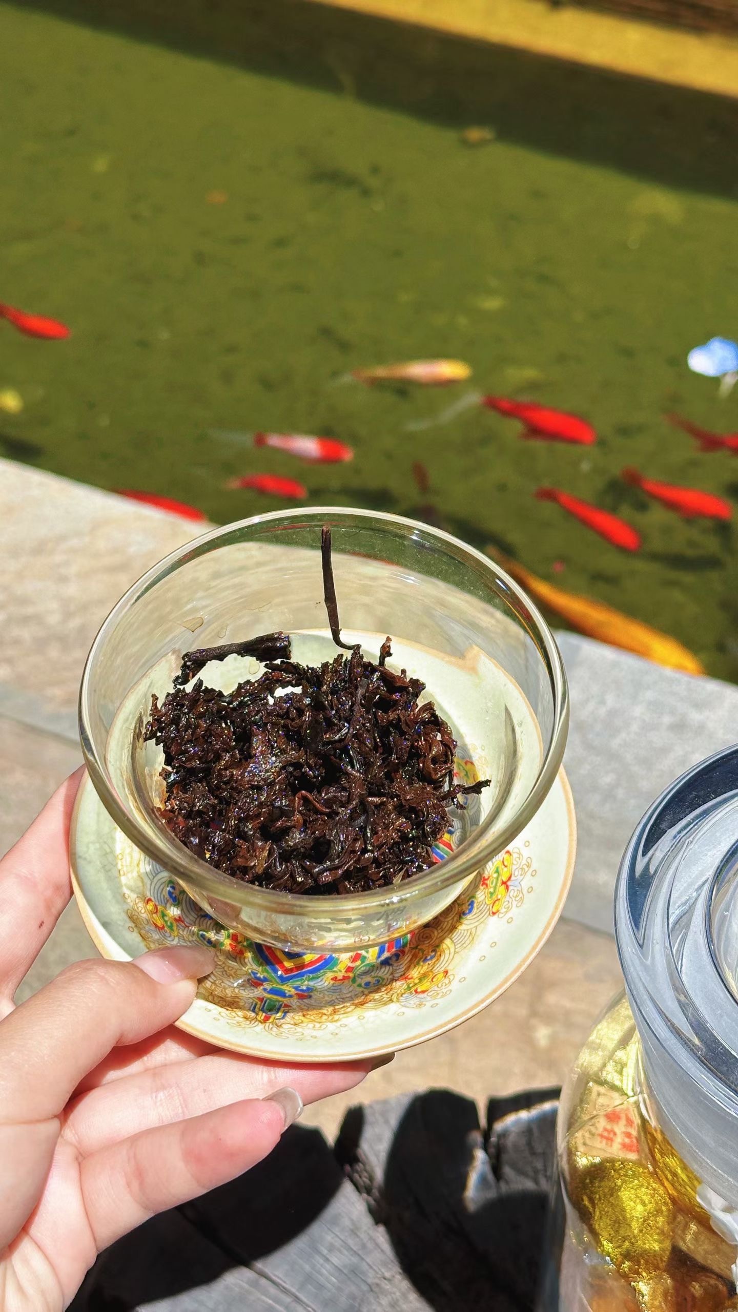 我也希望在那个阳光明媚的丽江午后，和你共坐豆花名宿小院，喝上几泡茶，聊上几句话，