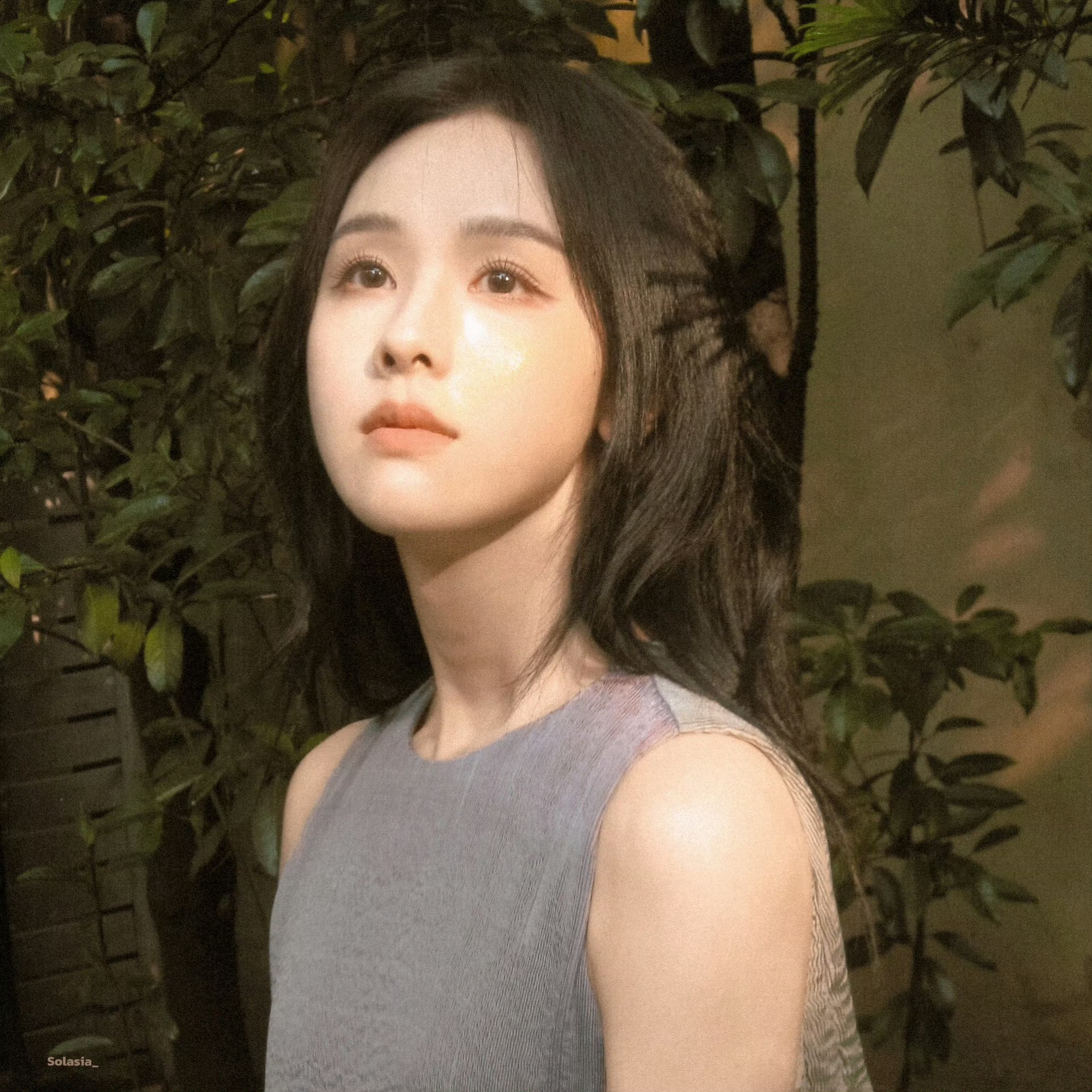 【陈都灵】🍃                     cr🧣Solasia 