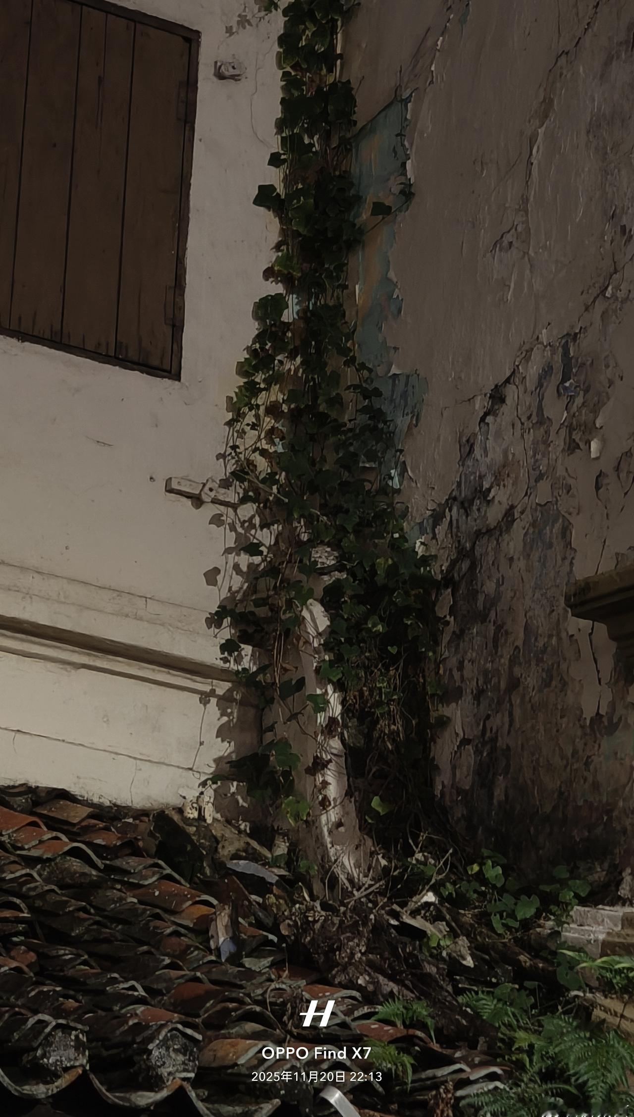 恋爱就是看别人的甜。
喜欢看别人的恋爱，那是因为我们身边都是已经是柴米油盐酱醋茶