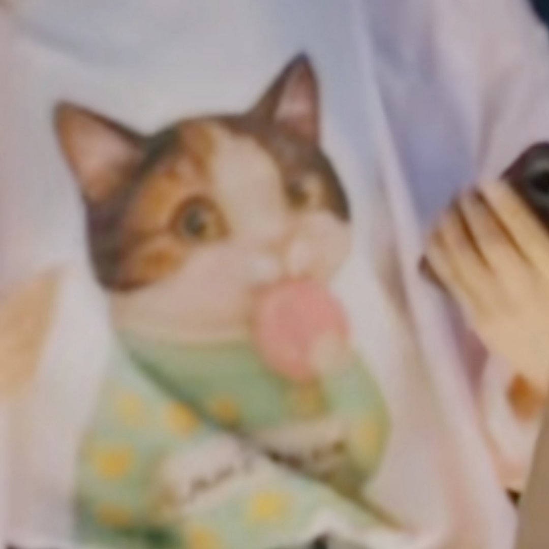 兔身上有只穿着绿衣服的三花咪 