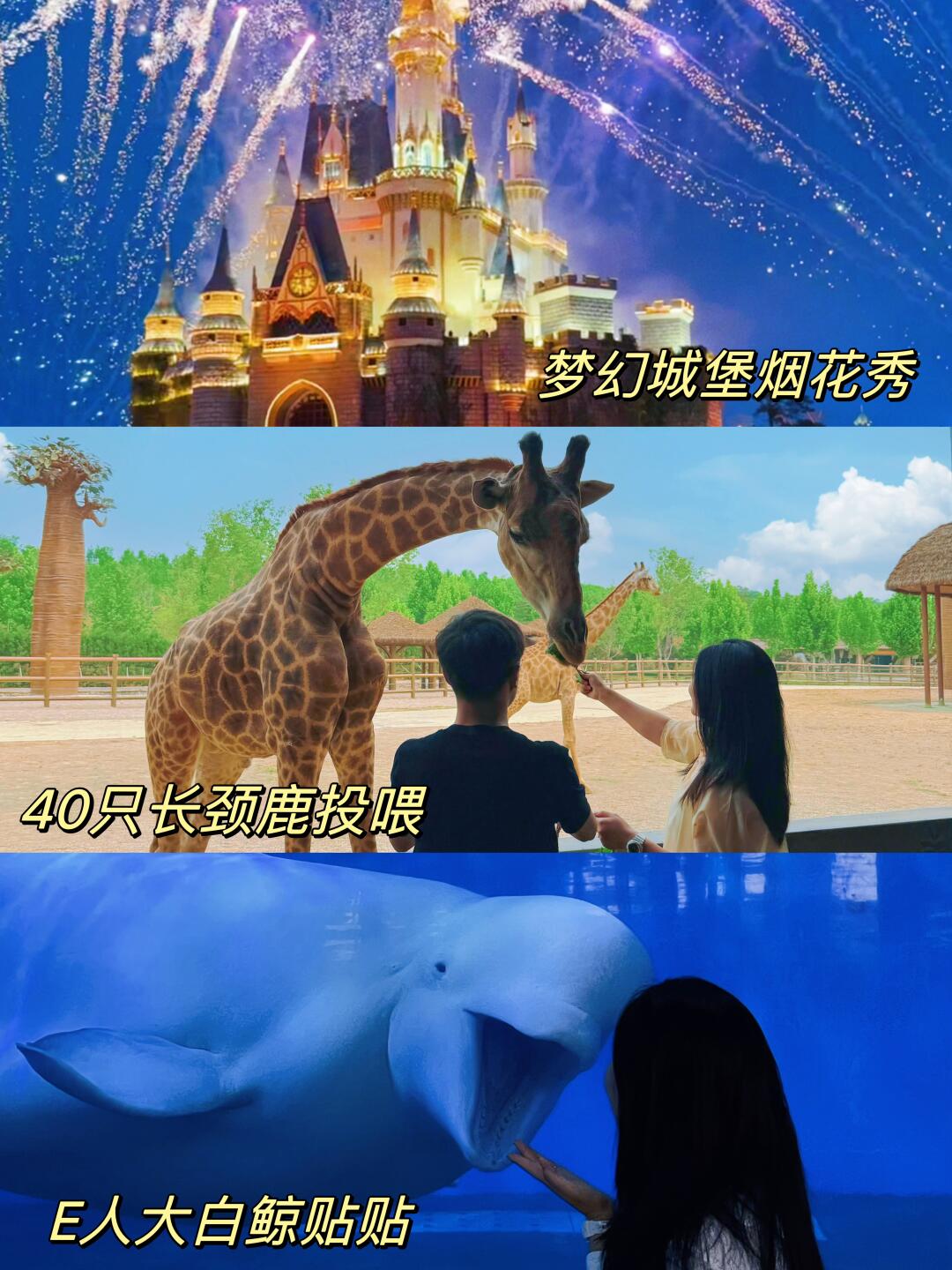 第一次用震撼来形容一个动物园！（附全攻略