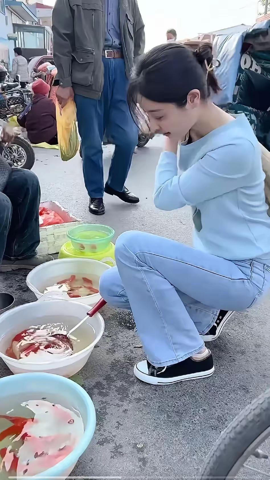 这锦鲤真好看！
买几个养着，给生活增添乐趣！