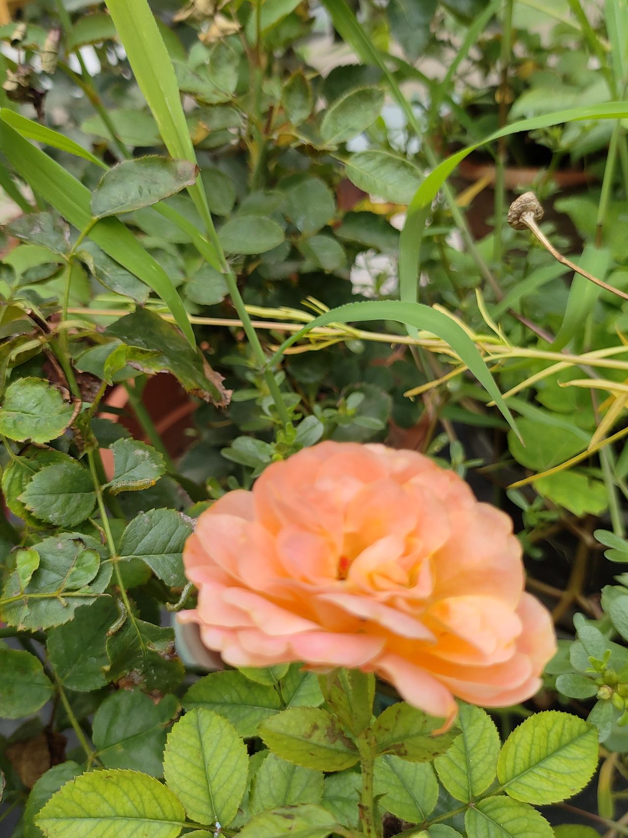 世上最难相处的人：是永远不会认错的人
 
人这一生，见过形形色色的人，慢慢就会明