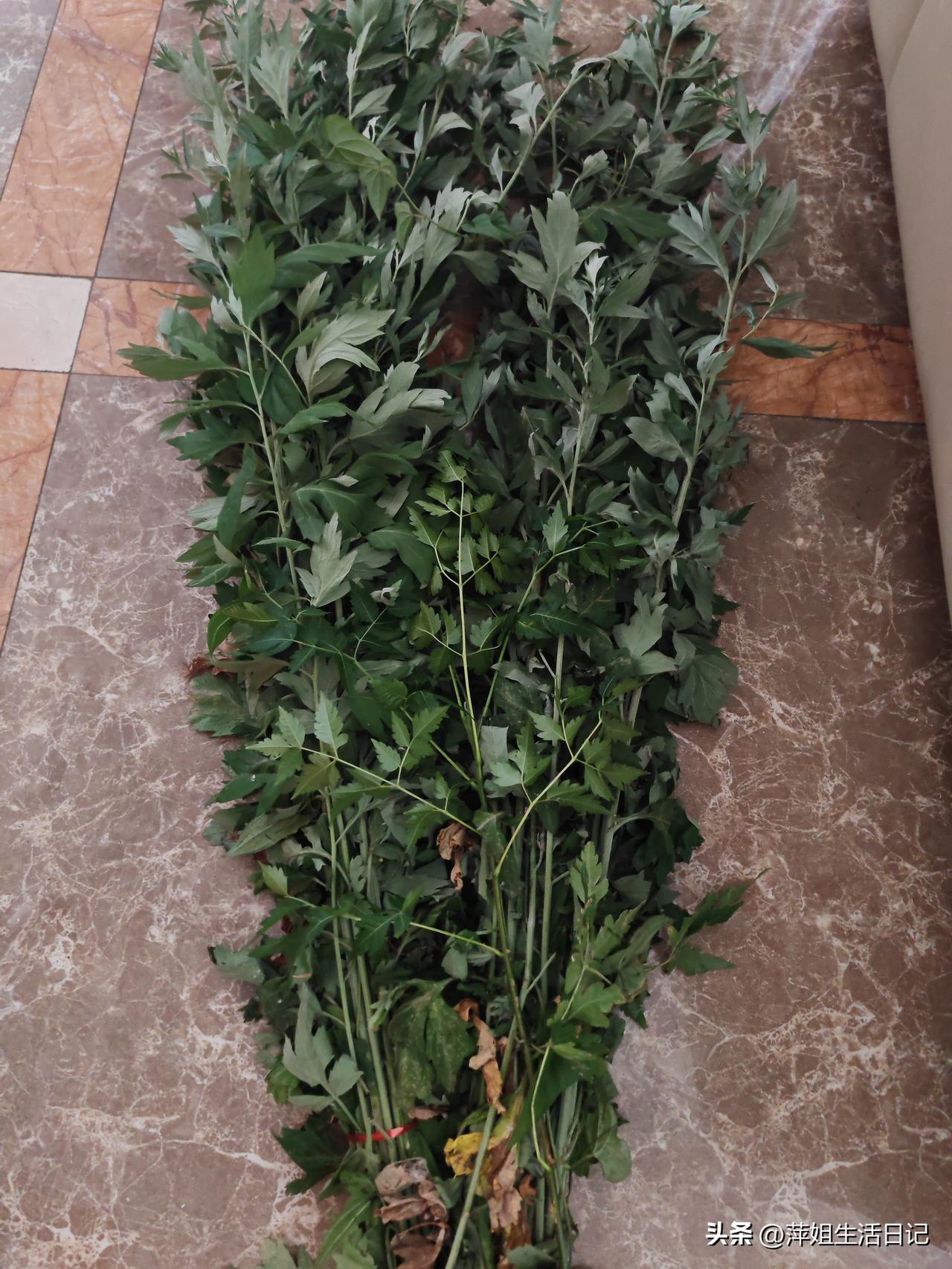 端午节插艾蒿是多年的习俗了，小的时候不用操心，都是妈妈提前准备好，在端午节这天早