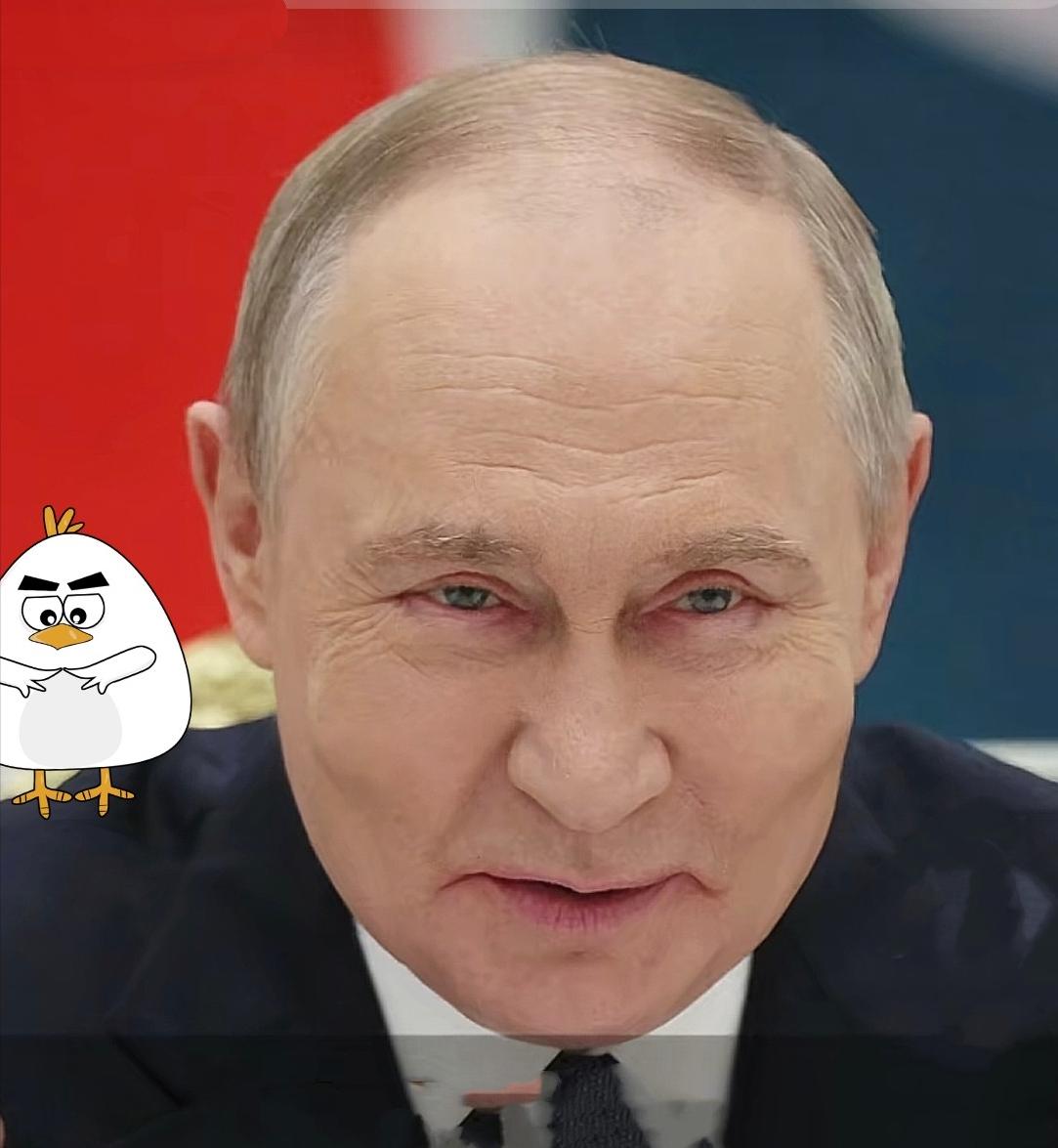 11月25日俄军突然发起突袭，官方直接通报是回应乌方袭击俄境内民用设施，这次出手