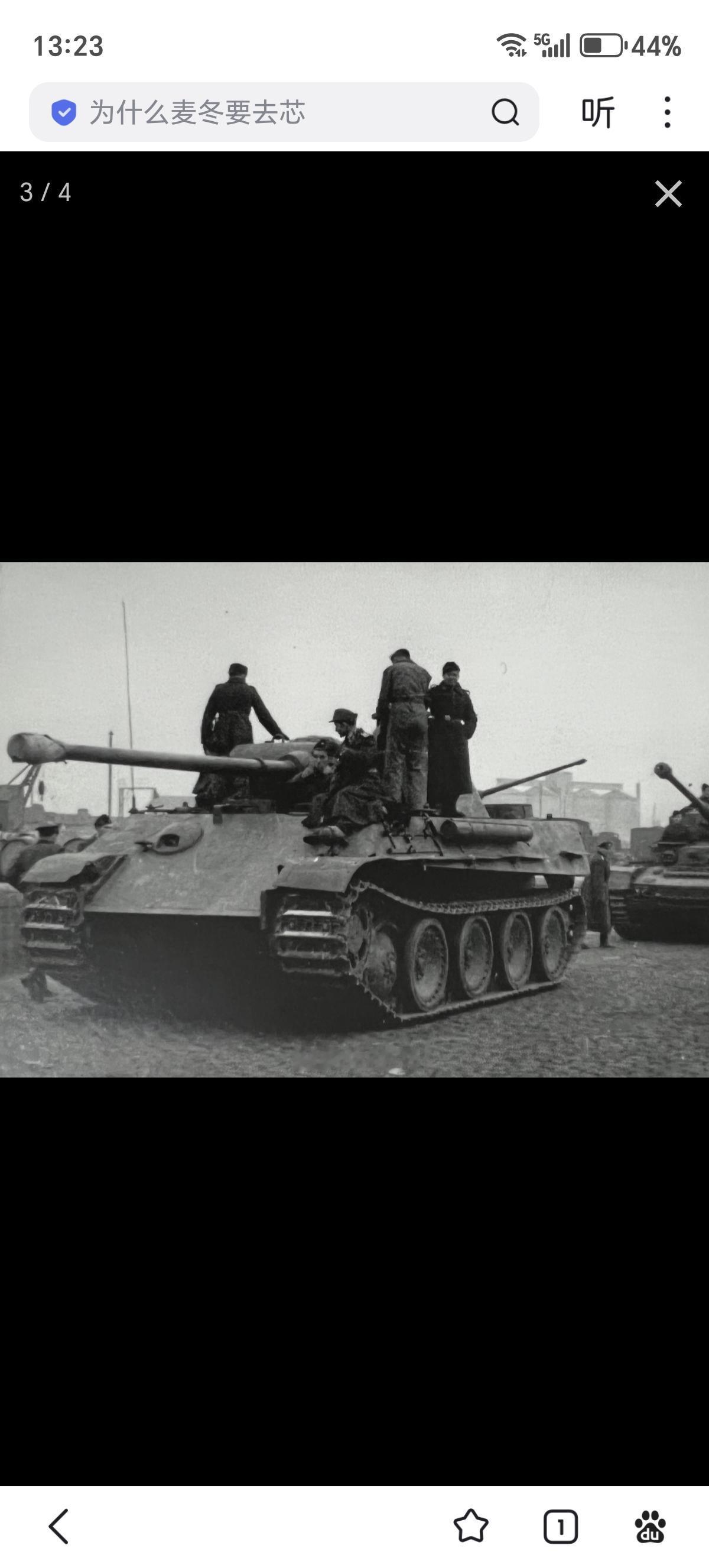 一些保加利亚第1装甲旅的豹式中坦照片，头3张是一组，后面有一辆四号坦克。照片中保