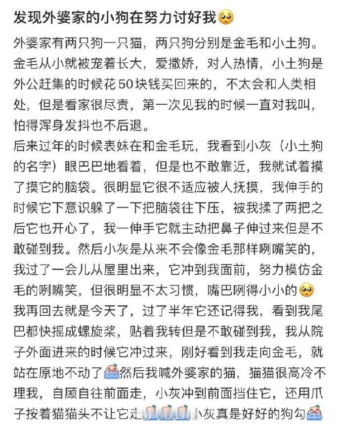 “发现外婆家的小狗在努力讨好我” 