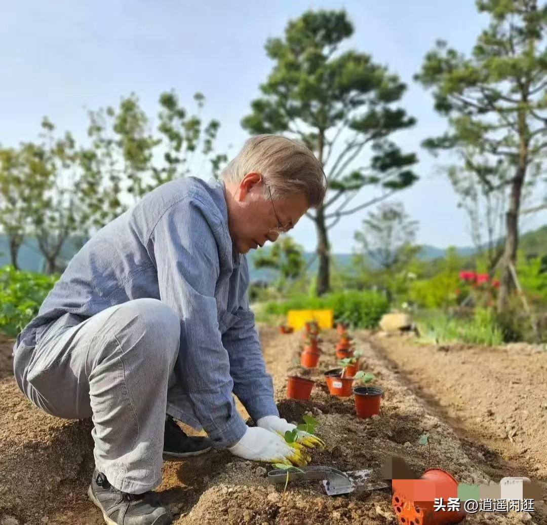 韩国总统的位置上退休以后，他住在乡下，种菜，开书店，虽然每月领取1400万韩元（