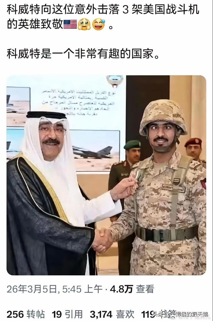 网上流传出，打下美军3架F15E战机的科威特空军“王牌飞行员”。
有不少网友当真