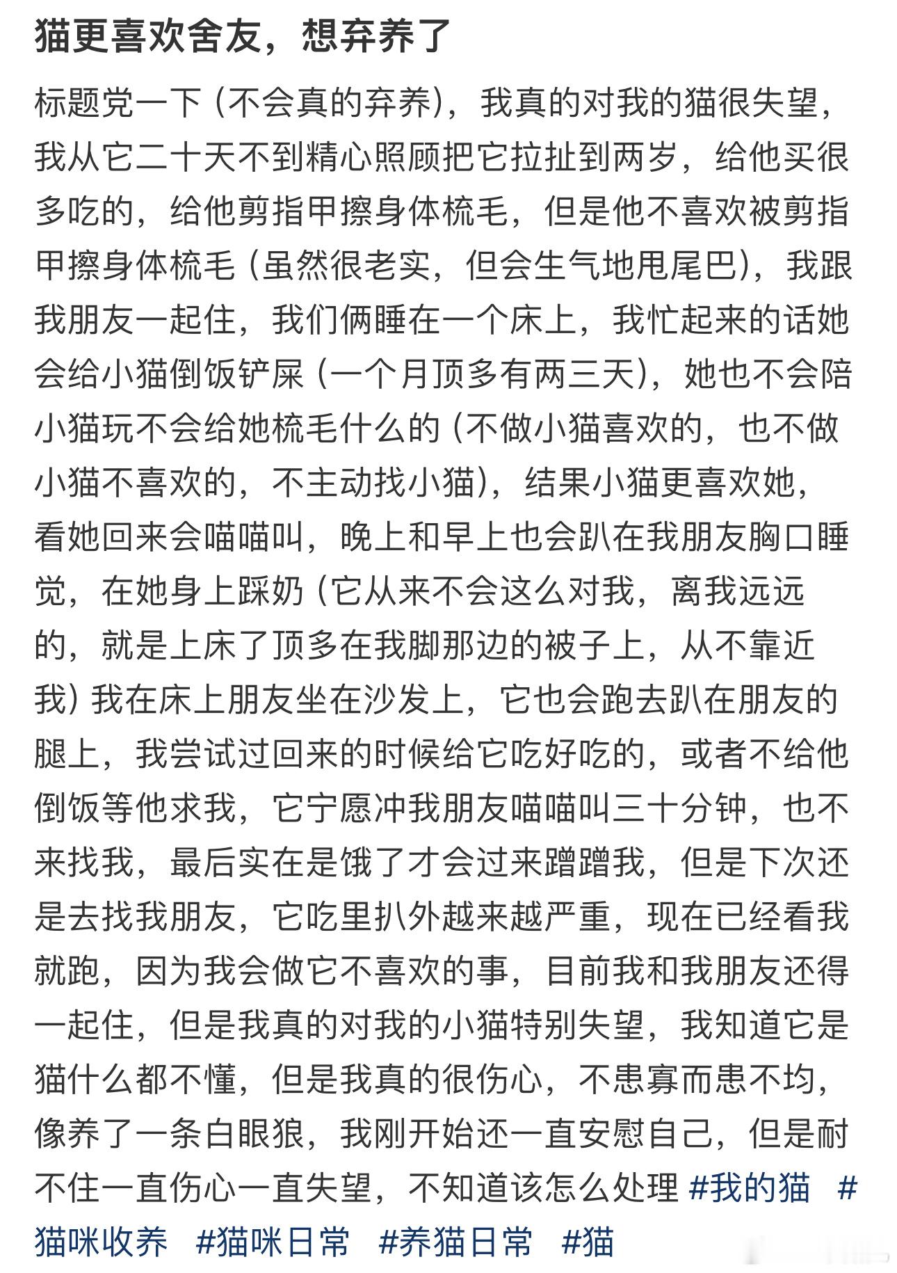 #猫更喜欢舍友想弃养了# ​​​