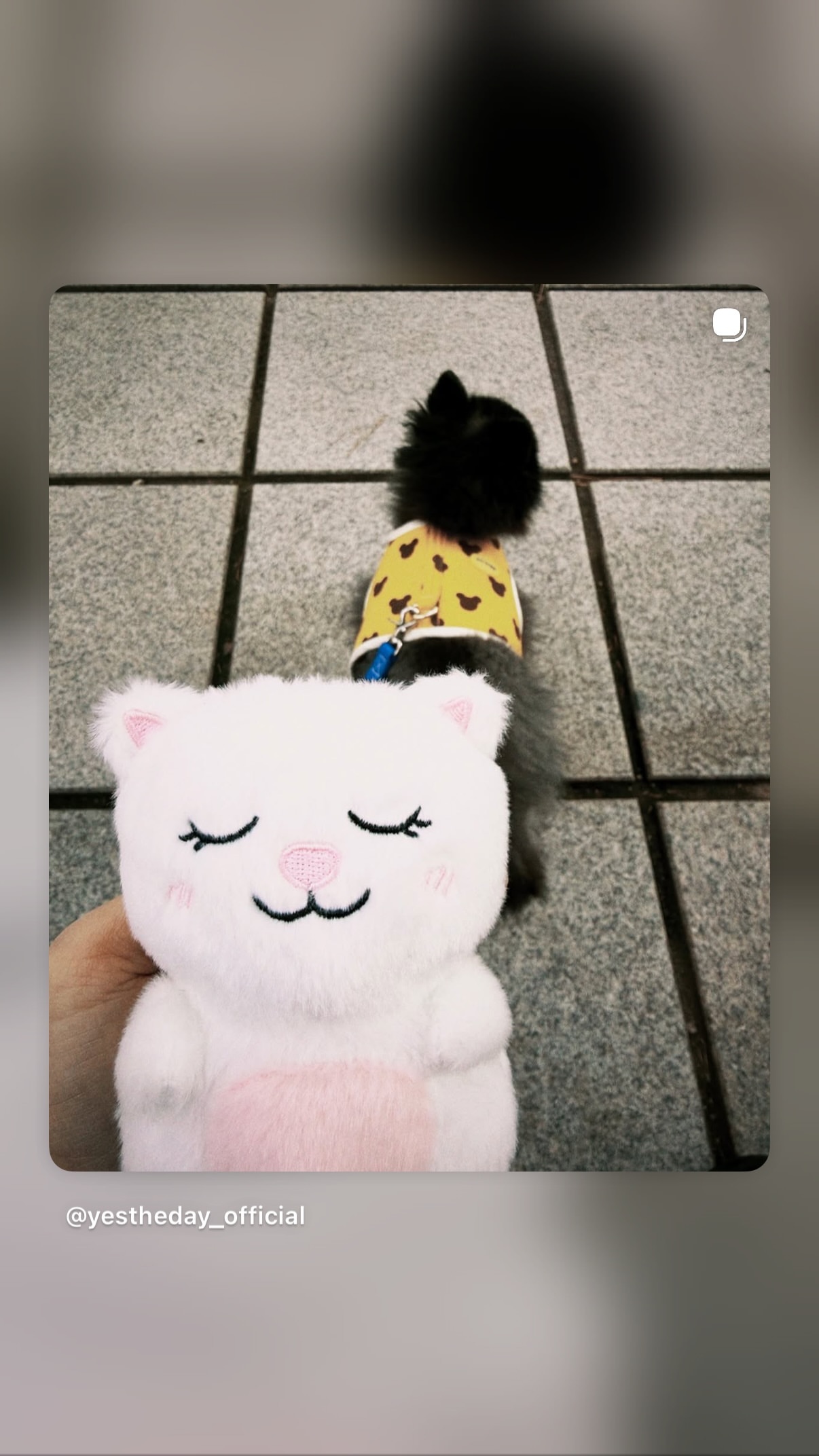 “CB百蓝_。260401金钟云 ins story更新两则： 