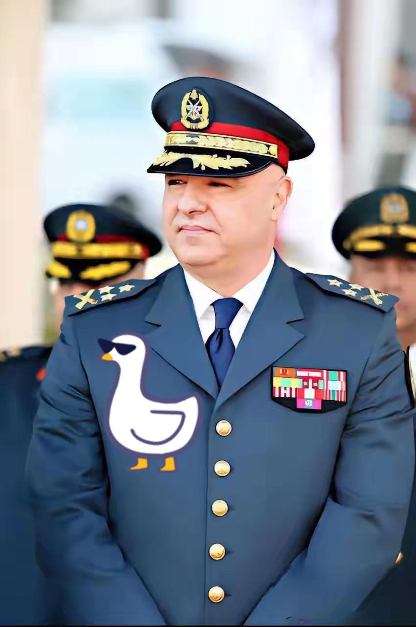 最新消息

2025年11月6日，以色列国防军对黎巴嫩南部的泰尔德巴等地发动了空