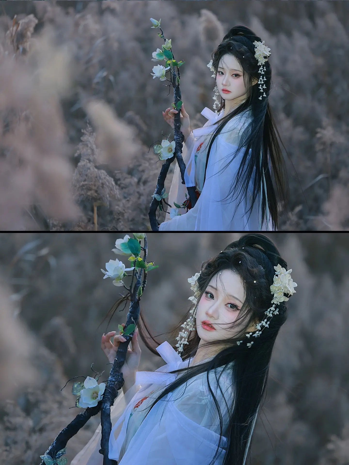 风有风的来意 叶有叶的归期🍂。