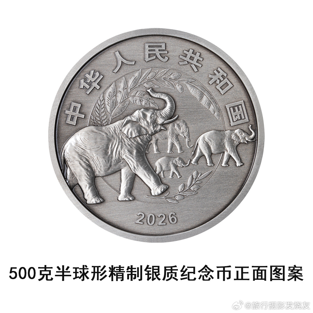 守护地球家园金银纪念币半球形表面多种动植物穿插自然、高低起伏极其微妙。500克银