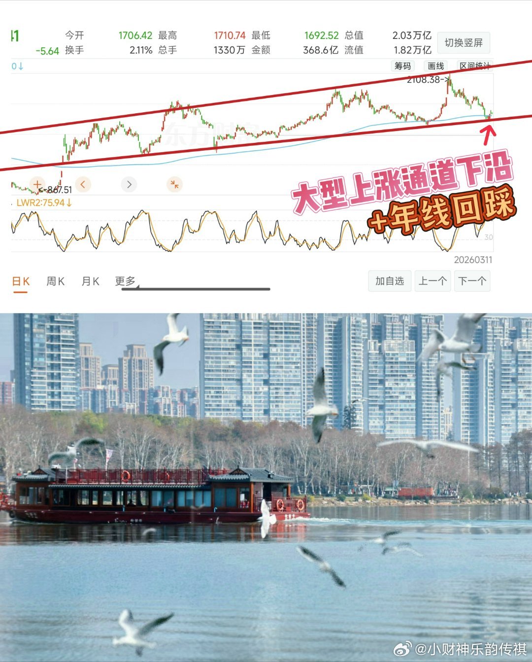 再看AI应用一直处于大型上涨通道内、近期回踩下沿+年线波动很大、且与指数不是特别