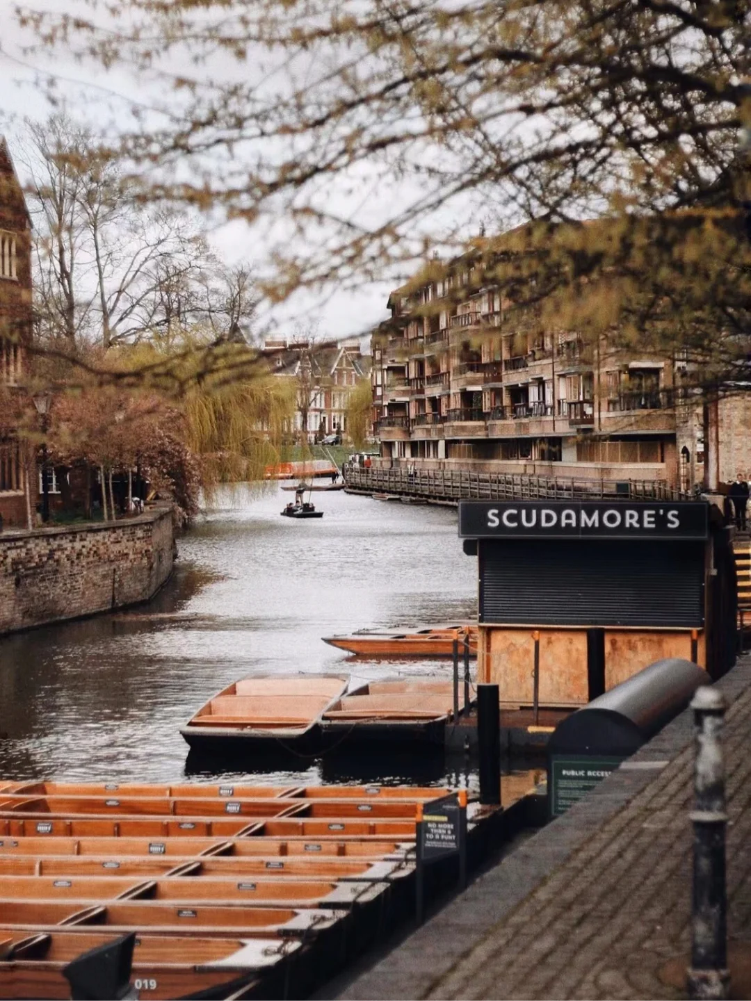 英式小镇百年茅草屋🚲30min到达剑桥市中心