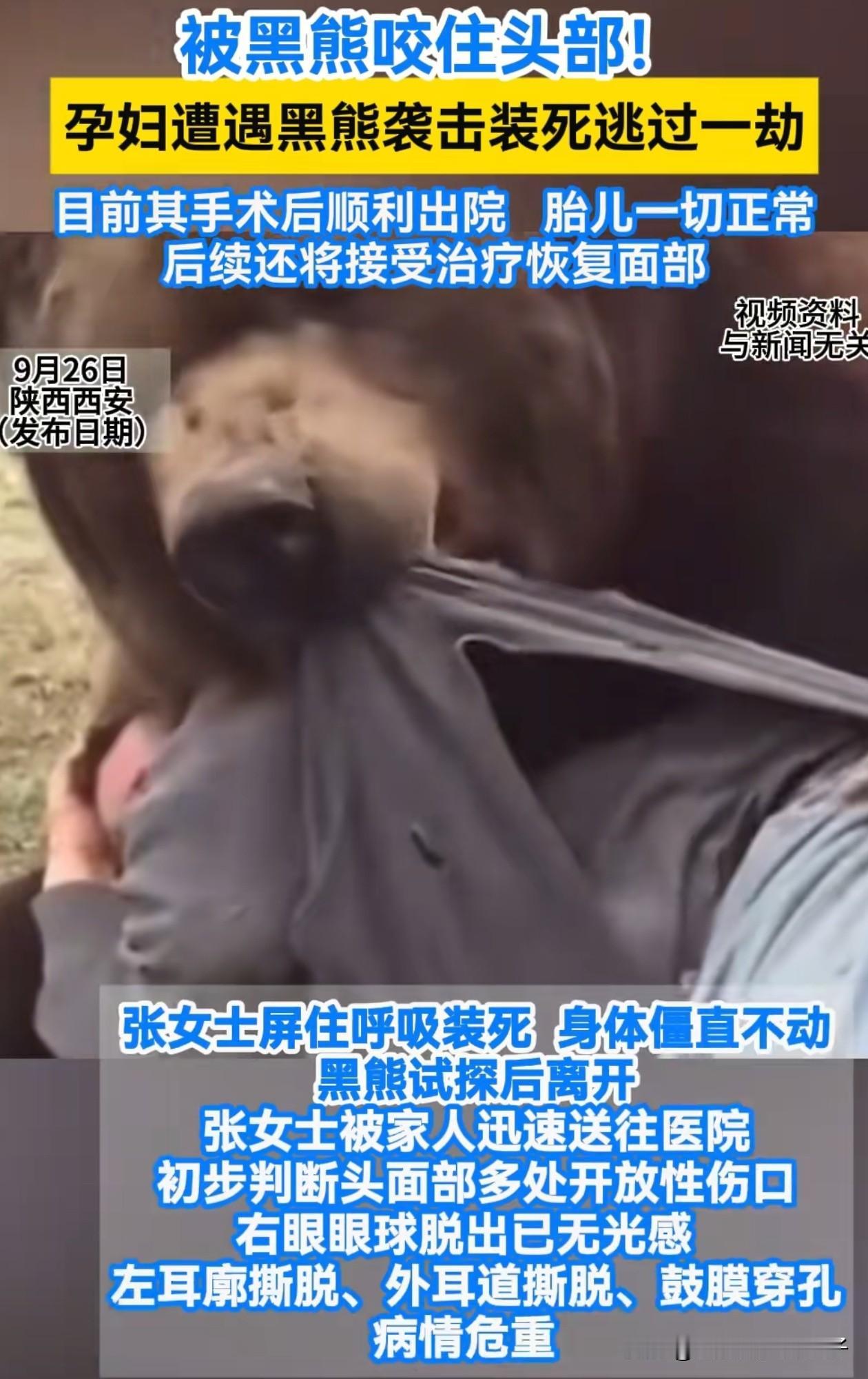 甘肃一孕妇野外遇黑熊袭击，

却幸运的捡回了一条命，

告诉了所有人一个道理，那
