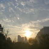 甜甜圆读读国际