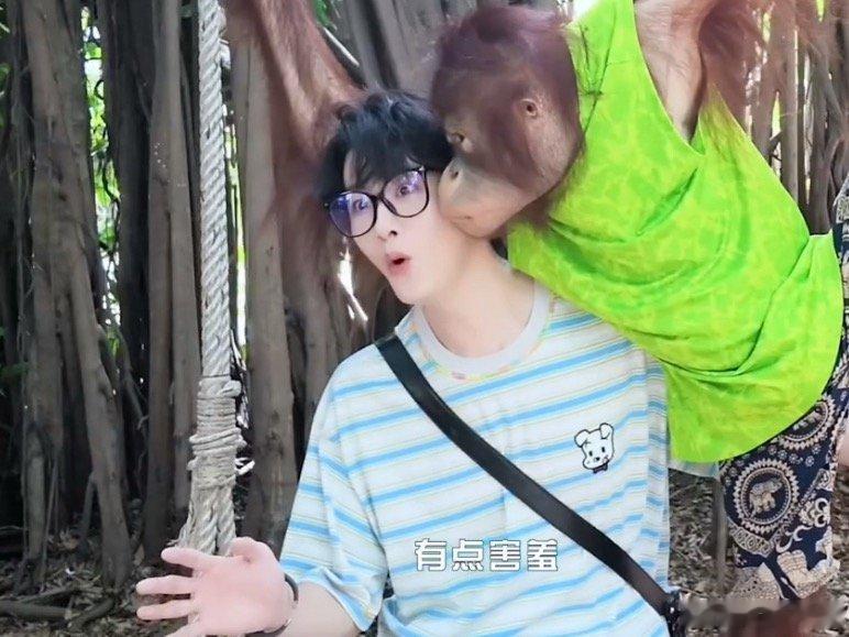 田嘉瑞被猴子强吻 这个也太招人喜欢了吧！在动物园拍照直接被猴子来一个亲亲，瑞ac