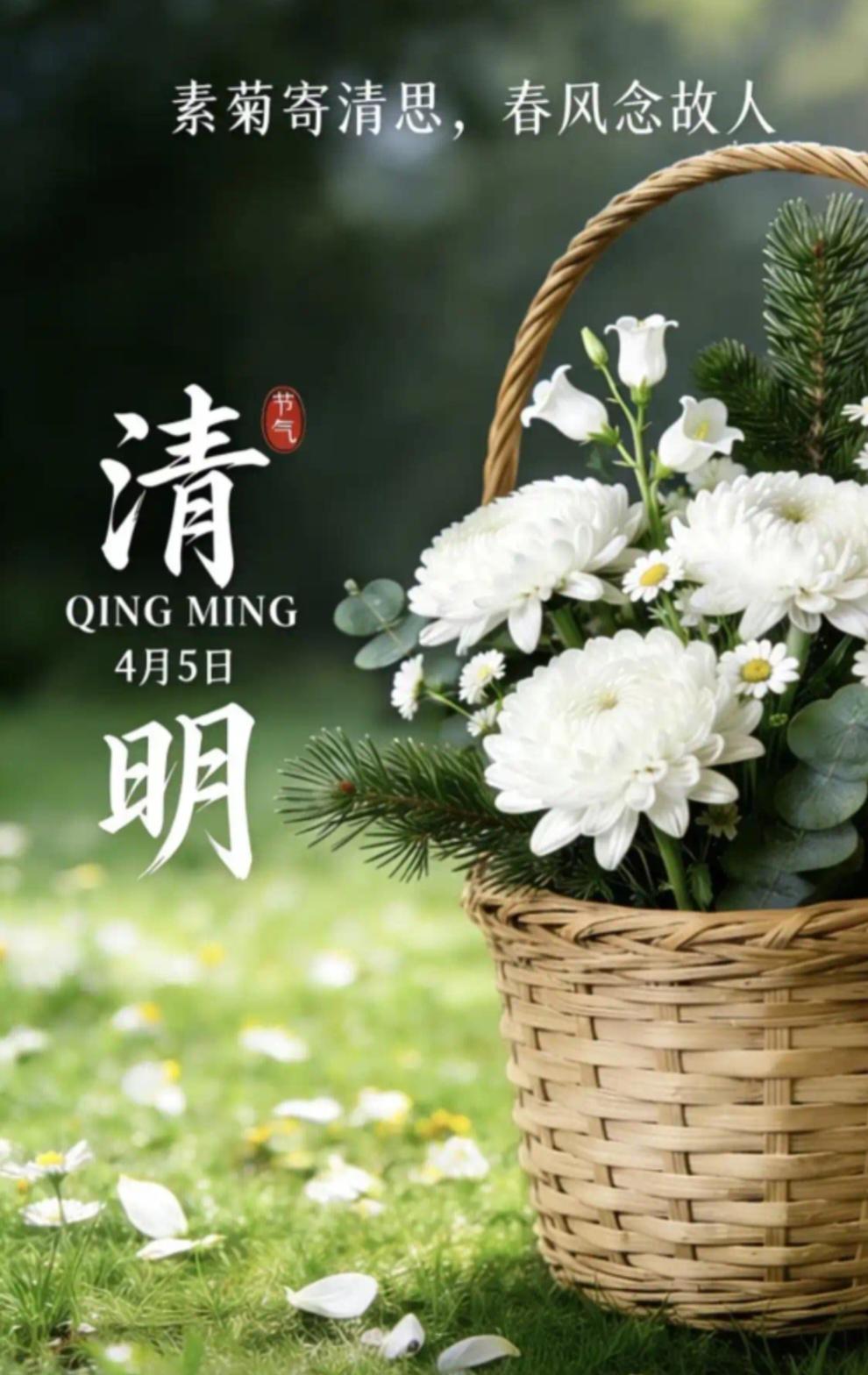 清明节祭祀为什么用菊花？清明祭祀用菊花，有不少原因。在传统文化里，菊花象征着高洁