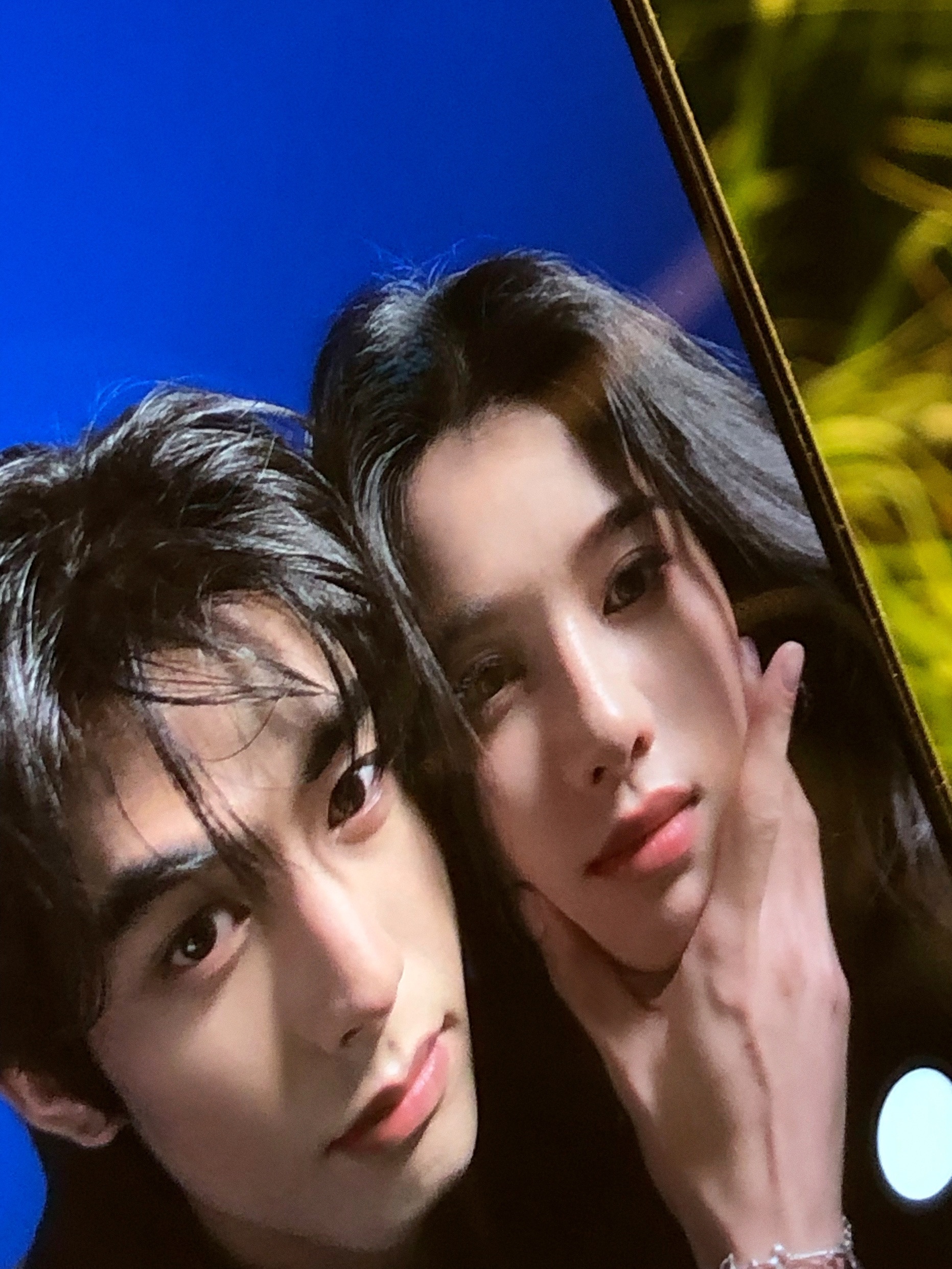 存档野狗骨头夏威仪rua脸合集🤔📸 