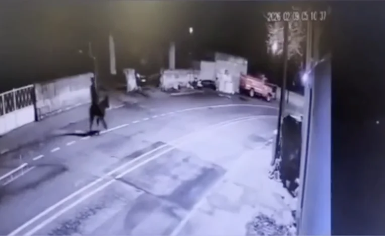 离奇！土耳其“大盗”骑驴抢黄金