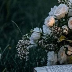 阳光信用  阳光信用 互动打卡 要守信，一旦承诺友人，就要言而有信。这就是友情。