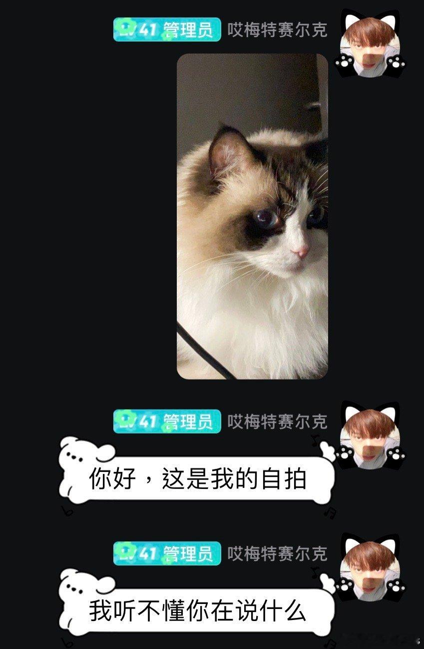 现在的职业是偷室友小猫行骗 ​​​