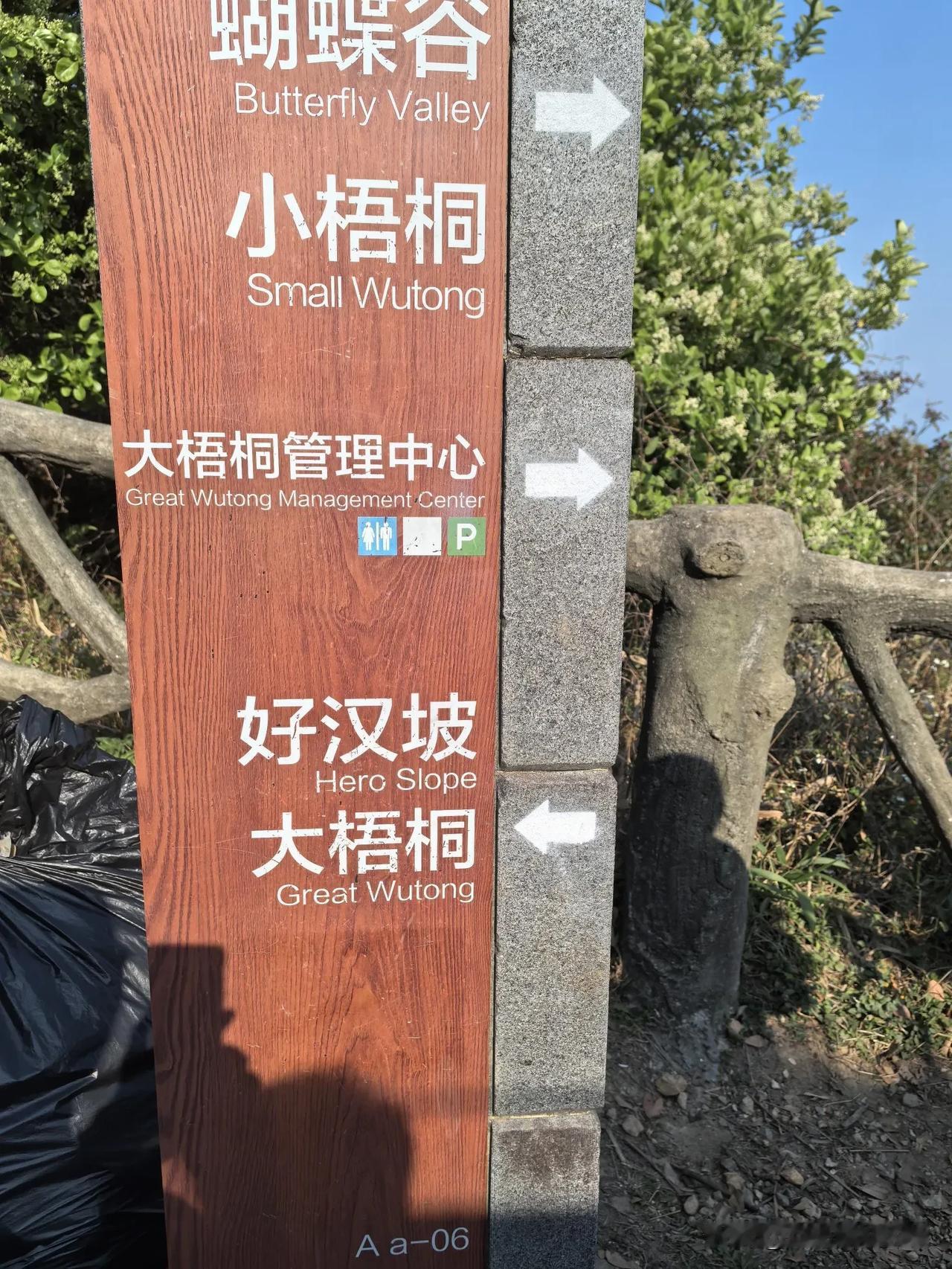 鲲鹏径上的云雀

晨光像融化的蜜糖涂在梧桐山百年古道登山口时，队长正给孩子们讲着